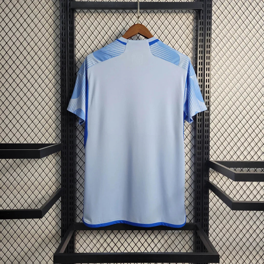2022 FIFA World Cup Spain Away Soccer Shirt