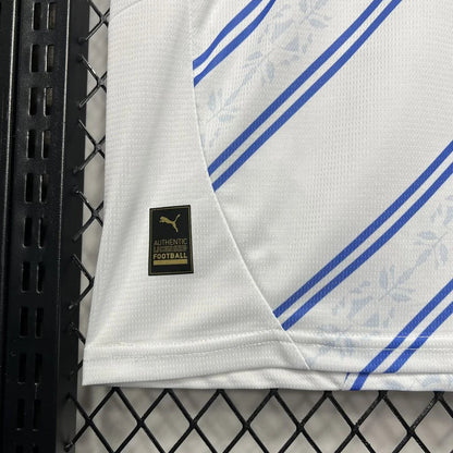 2024/2025 Fenerbahce Away Football Shirt