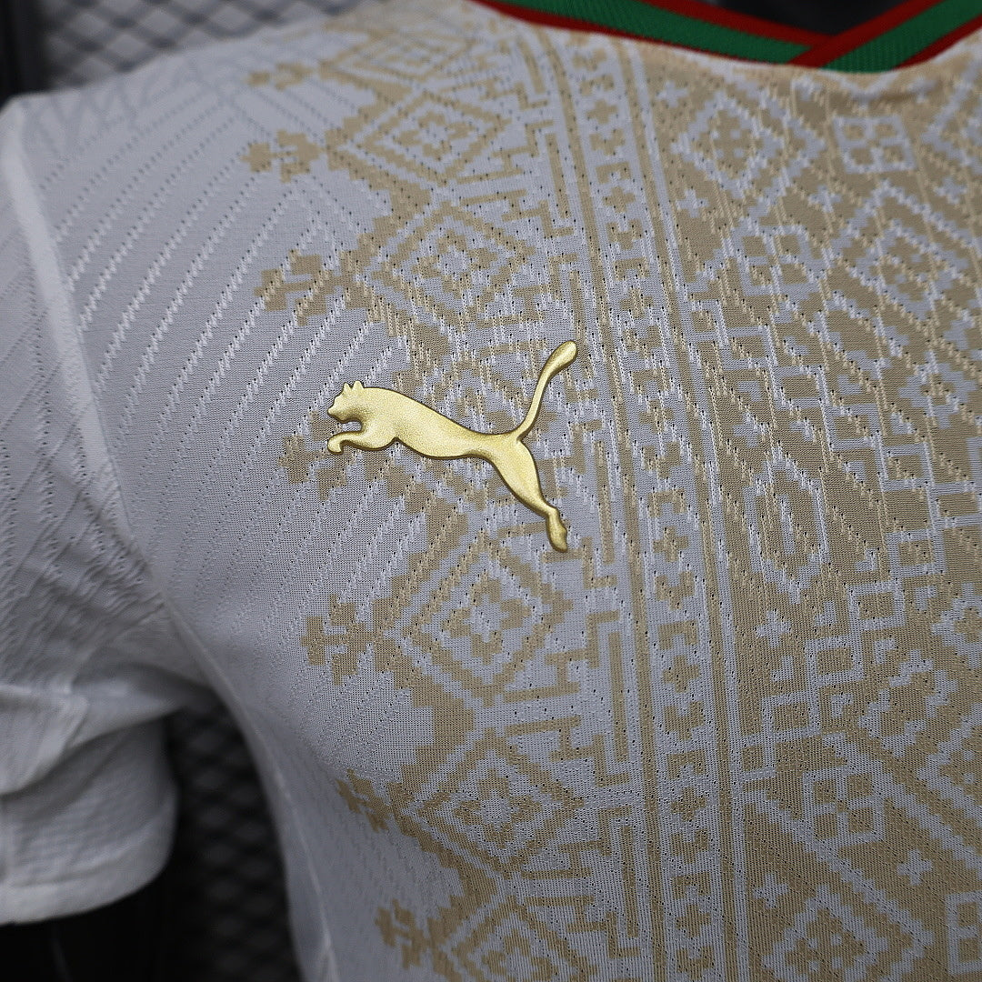 2026 Morocco Away World Cup Football Shirt - Player Version