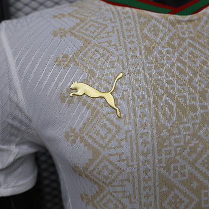 2026 Morocco Away World Cup Football Shirt - Player Version
