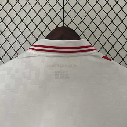 2024 Denmark National Team Away Football Shirt