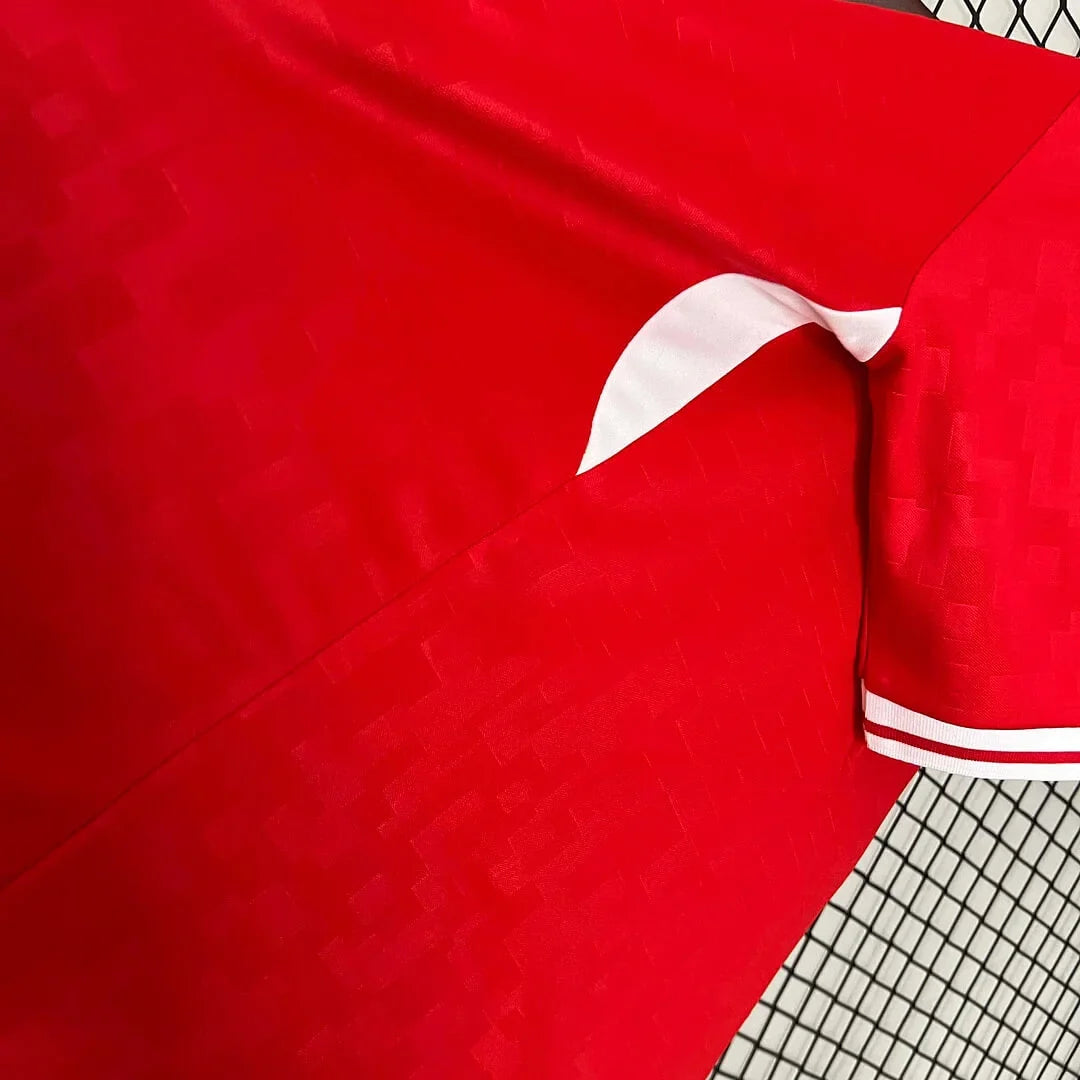 2024 Denmark National Team Home Football Shirt