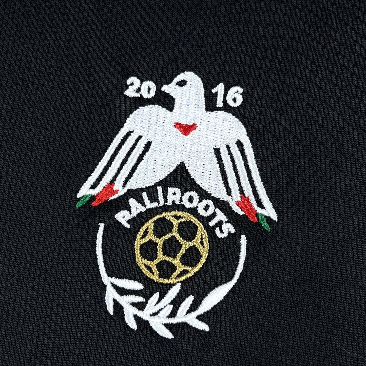 2025/2026 Palestine Paliroots Black Jersey