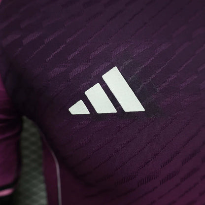 2023/2024 Japan Special Edition Purple Football Jersey - Player Version
